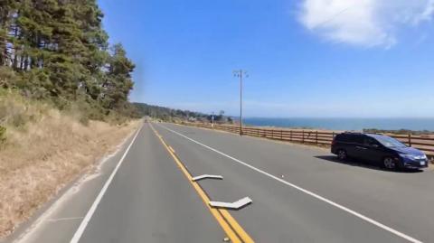 Why Did Flies Start Killing Ants_