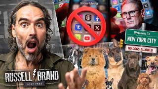 Starmer’s Under-16 Social Media Ban and New York’s Muslim Dog Row — SF685