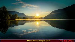 What Is Duck Hunting All About
