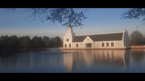 Self-Inflicted Part 63 - Mgtow