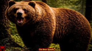 The Bear Speaks