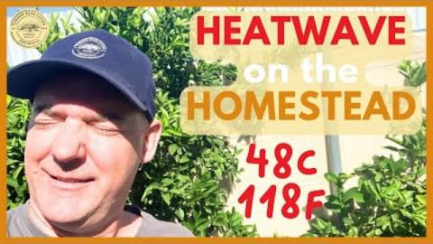 Managing a Heatwave on the Homestead - Victoria Australia