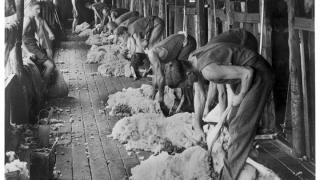 The Farmers Retarded Fuck Hole of a Lazy, Liberated, Lying, Arsehole Wife