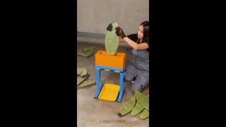 Cactus is becoming the future of Leather - I had never thought of this in a million years....