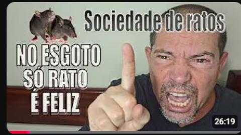 O mundo é um esgoto, onde só os ratos se divertem na sujeira 🐀🐀🐀🐀