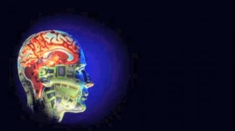 In Defense of the Artificial Womb