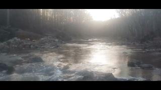 Snares And Traps Part 28 - Mgtow