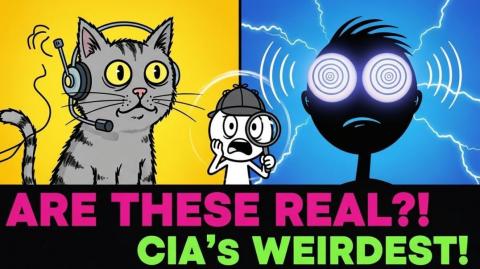 5 Bizarre Government Experiments (True Stories)