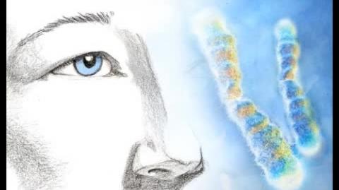 Male Contraception: Where do we stand?