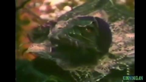 Reptilians and Archons Use Black Magick To Dominate The World