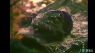 Reptilians and Archons Use Black Magick To Dominate The World