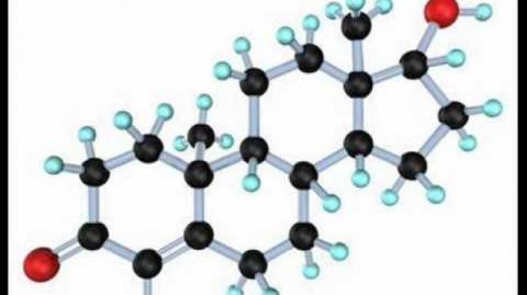 Testosterone = violence, according to manipulative feminist theory