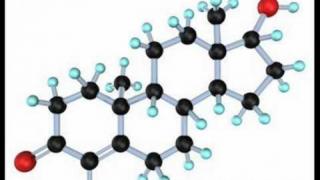 Testosterone = violence, according to manipulative feminist theory