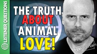 The Truth About Animal Love! Listener Questions