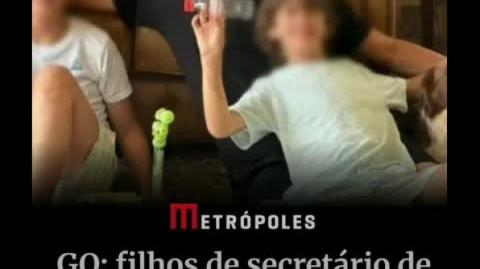 A Empatia Automatica Burra e a Ingnorancia