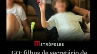 A Empatia Automatica Burra e a Ingnorancia