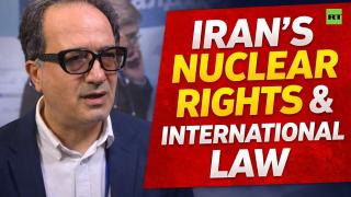 'Iran will not go towards a nuclear weapon' — Prof Barzegar