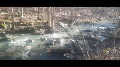 Thot Fatigue Part 20 - Mgtow