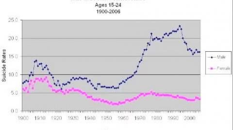 Non existent Cinderella-Woman lie, harms men
