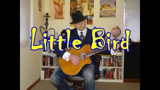Little Bird - Totally Inappropriate Love Song For Valentines Day