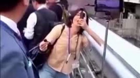 Check out this train that goes over 300mph - Did you see it