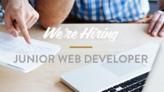 How To: Write a Junior Software Developer Resume