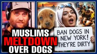 Muslims meltdown over dogs
