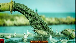 How Toxic Is Feminism