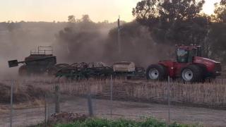 Planting the Barley 2025