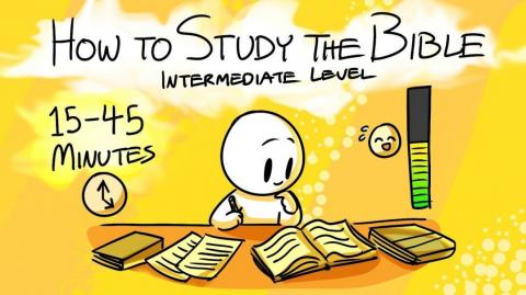 How to Study the Bible: Intermediate Level - Impact Workshops