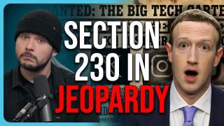 SECTION 230 IN JEOPARDY