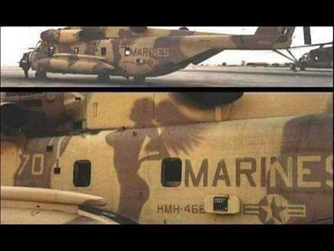 Sunday NITE Live - ZOO time!