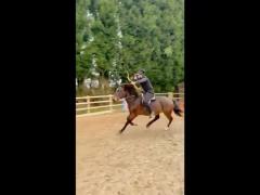 Muslim Alpha UK Retreat - see description