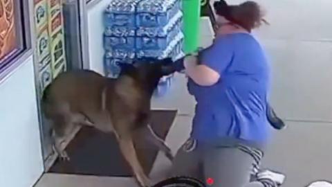 Dog Attacks Mentally Ill Goofball Pretending to be a Dog