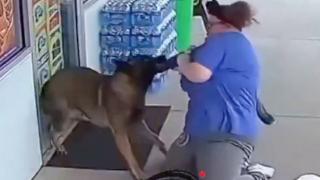 Dog Attacks Mentally Ill Goofball Pretending to be a Dog
