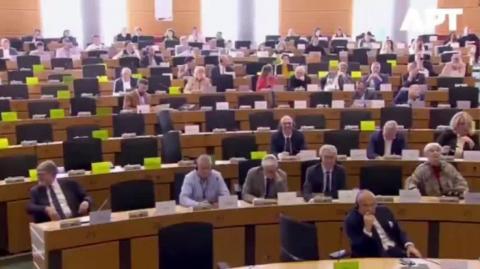 European MEP - It's the Jews