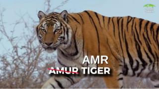 SIBERIA At -64°C - The Coldest Place On Earth Where Russia Becomes Another World