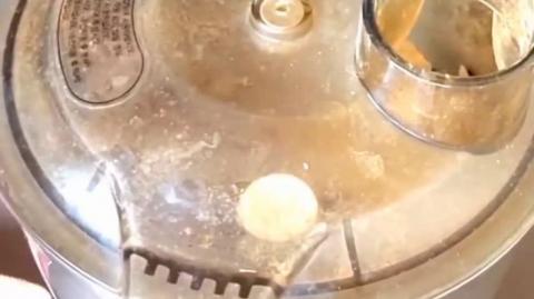 This Tree Drops 'Free Bread' - Outperforms Wheat - Why Do We Rake It Into The Trash