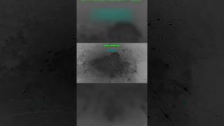 10 days in - Operation Epic Fury delivering RESOUNDING success