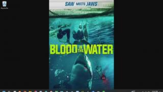 Blood In The Water Review