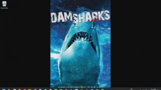 Dam Sharks Review