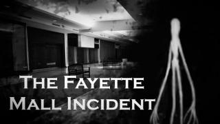 The Fayette Mall Incident