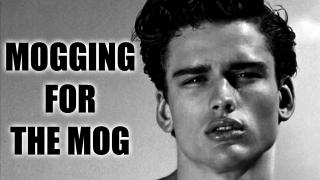 The Truth About The Mog And More