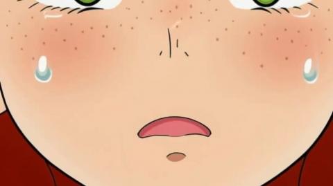 Ireland Forever! #IrelandForever #Irish #IrelandfortheIrish #Ireland  #immigration #waifu #anime