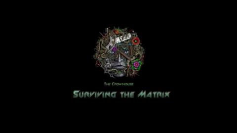 Max Igan - The Crowhouse - The Israeli-US Attack on Iran