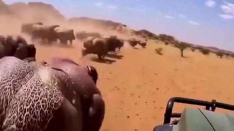 Spring Break in Houston Texas