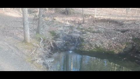 Lockout Part 72 - Mgtow