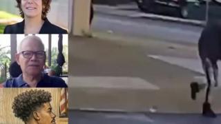 NIGGER GETS RELEASED EARLY AFTER KILLING 84 YEAR OLD IN SOME ATTACK GAME BULLSHIT