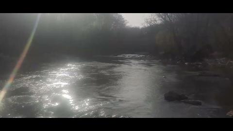 Lockout Part 73 - Mgtow