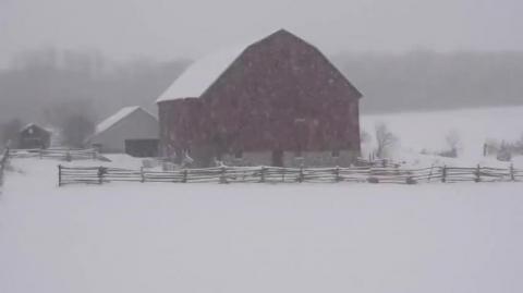 The Fight Against Tiny Homes Mar 5 2026